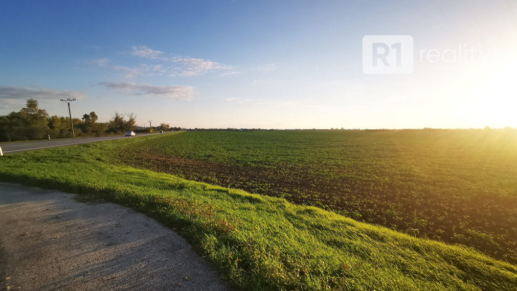 Orná pôda, 4244 m2,  k.ú. Piešťany