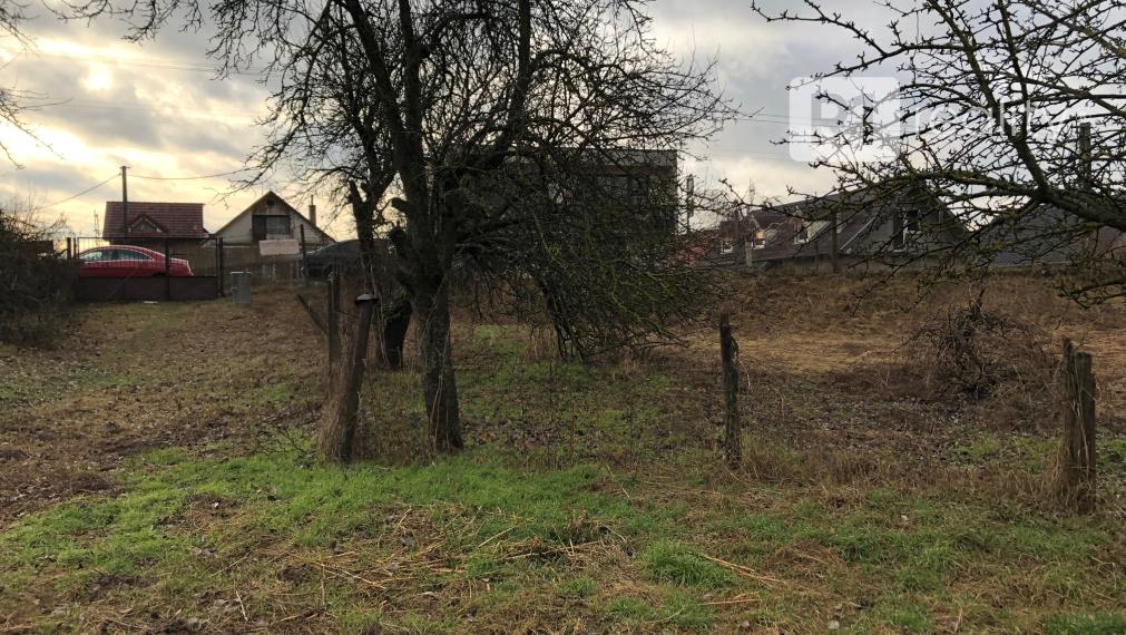 Starý rodinný dom s veľkým pozemkom výmery 1 505 m2, intravilán obce Sokolovce, okres Piešťany