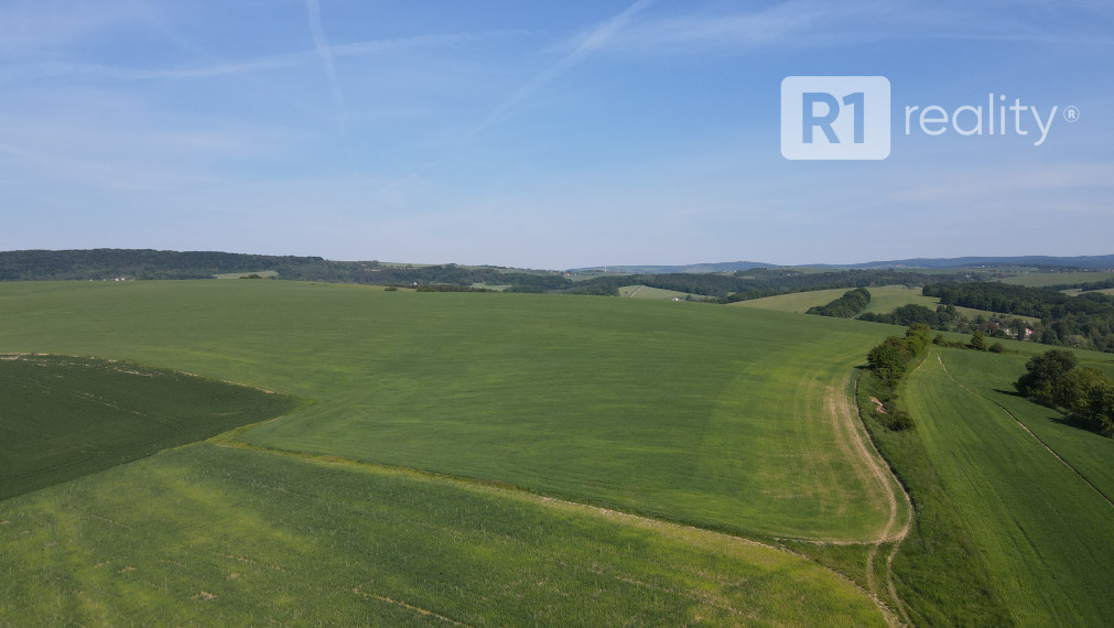 Orná pôda 7 800 m2, k.ú. Jablonka, okres Myjava