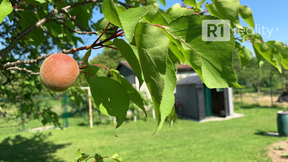 Záhrada v ZO Sĺňava (pri Zimnom štadióne), Piešťany