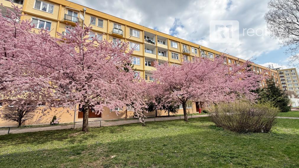 „Luxusne zrekonštruovaný 3-izbový byt s klimatizáciou, 2 balkónmi a výhľadom do zelene – Piešťany centrum“