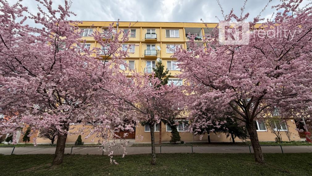 „Luxusne zrekonštruovaný 3-izbový byt s klimatizáciou, 2 balkónmi a výhľadom do zelene – Piešťany centrum“