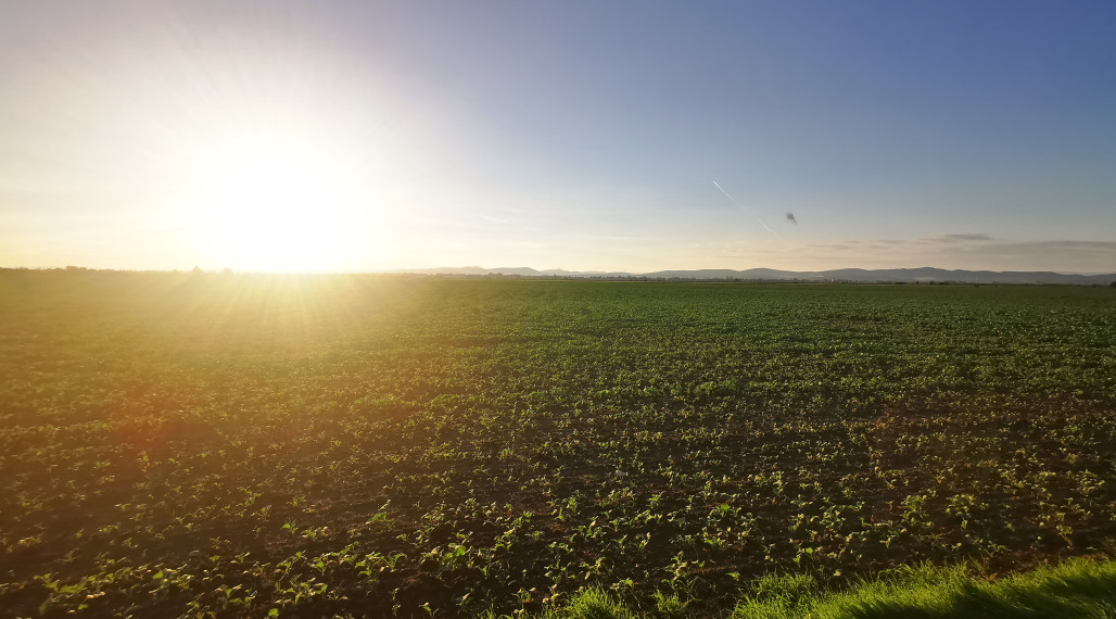 Orná pôda, 4244 m2,  k.ú. Piešťany