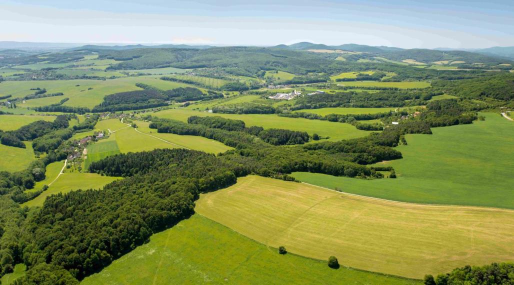 Orná pôda 7 800 m2, k.ú. Jablonka, okres Myjava