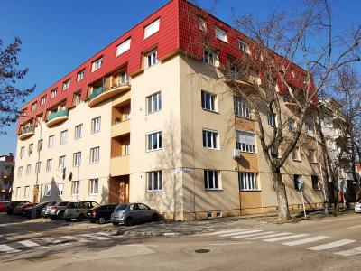 Veľký 3 izb. byt pri mestskom parku / Piešťany