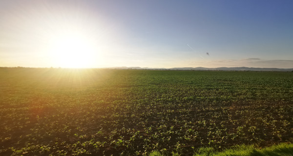Orná pôda, 4244 m2,  k.ú. Piešťany